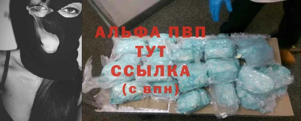 трава Абаза