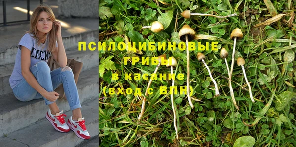 трава Абаза
