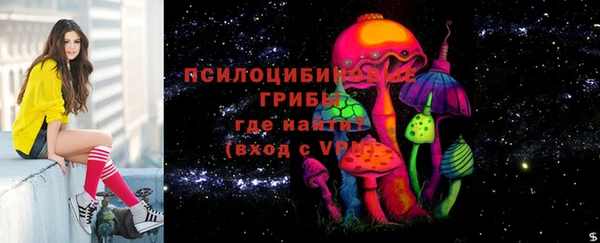 трава Абаза