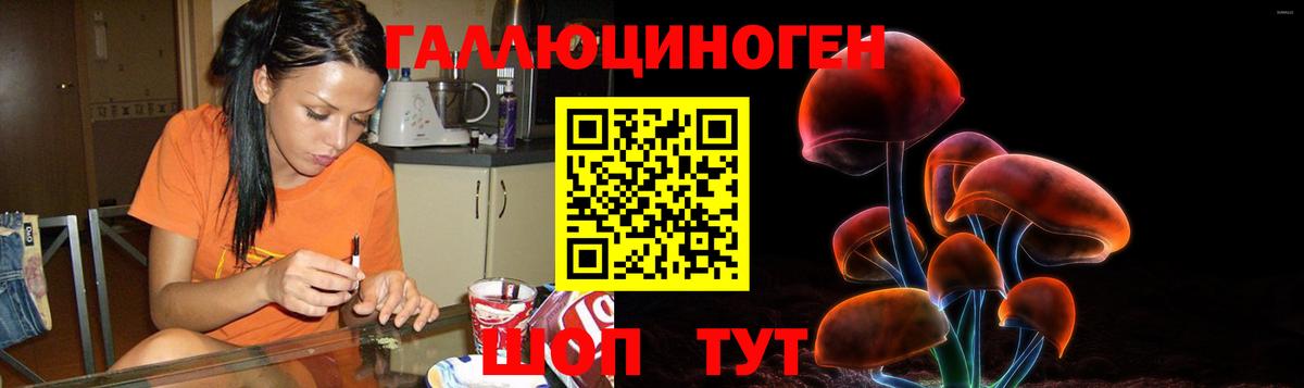 где купить наркоту  Галлюциногенные грибы Psilocybine cubensis  Вход с VPN  Рославль 